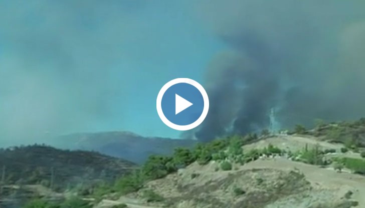 Двама огнеборци са починали в битката с големия пожар в Кипър