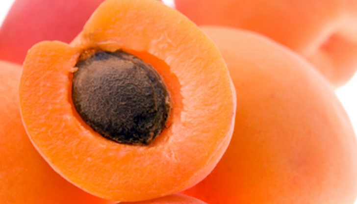 Румънци вече изкупуват първите български кайсии