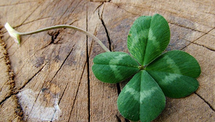 Всеки иска да е около тези две зодии Всеки иска да е около тези две зодии