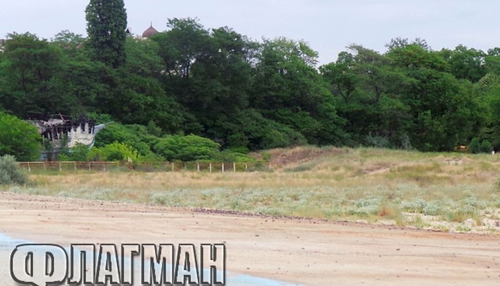 Екохора и Център за обучение на кучета не могат да разделят апетитен плаж в близост до Централния