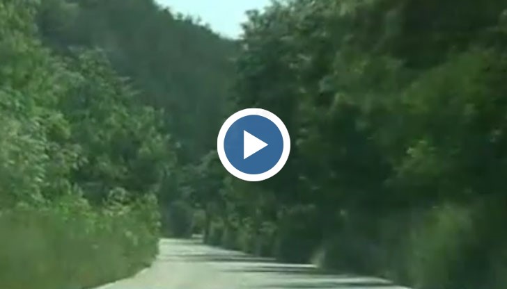 Това е пътят Петрич - Златарево в отсечката от село Първомай до граничния пункт