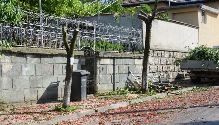 Случката е от вчерашния 1 юни на ул. "Боримечка" в Русе