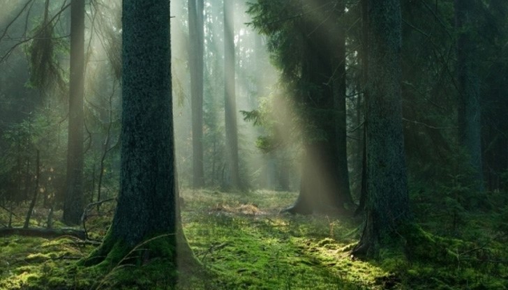 Инцидентът е станал вчера, в издирването участват полиция, пожарна и доброволци Инцидентът е станал вчера, в издирването участват полиция, пожарна и доброволци