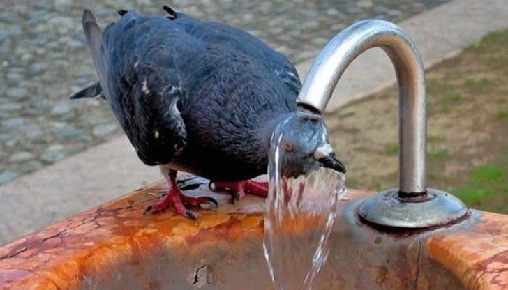 Максималните температури ще са между 31° и 36° Максималните температури ще са между 31° и 36°