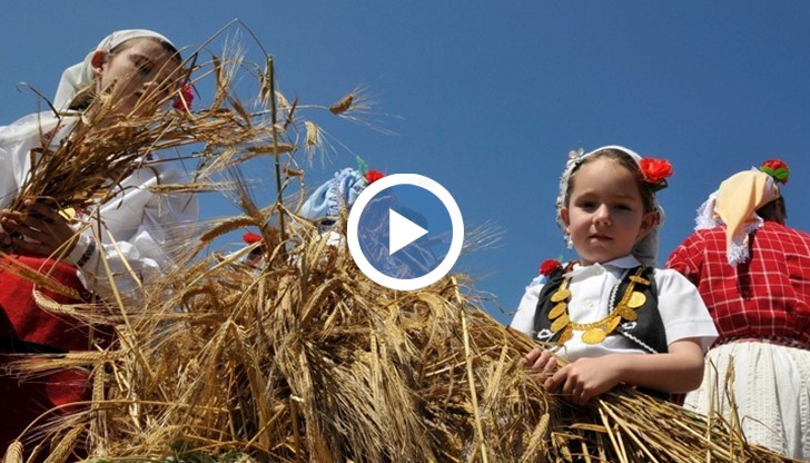 С Тракийски жътварски събор бе даден официален старт на жътвата