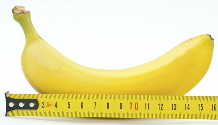 Размер на средностатистическия пенис във възбудено и спокойно състояние