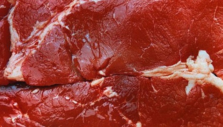 Преди около година опасността от разпространение на болестта затвори десетки заведения във Варна и нанесе щети на туристическия бизнес Преди около година опасността от разпространение на болестта затвори десетки заведения във Варна и нанесе щети на туристическия бизнес