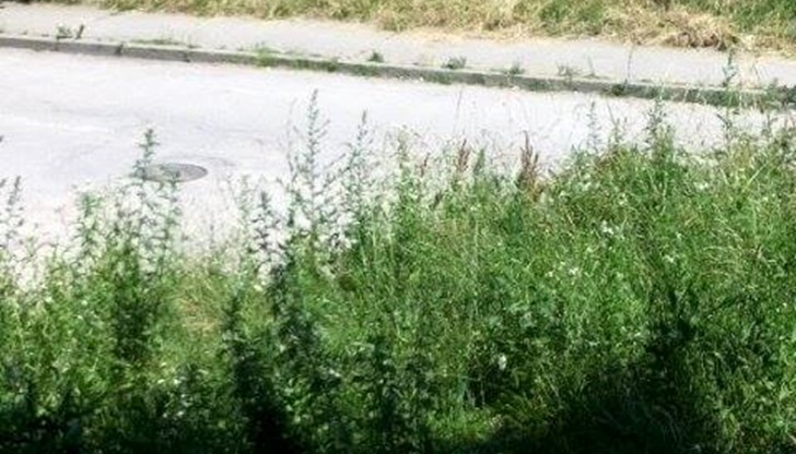 Надявам се с писмото си до вас отново да задействам някой заспал служител