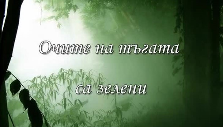 Поетесата Селвер Алиева представя поетичната си книга