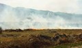 Гюргево обеща да предупреди Русе, когато палят огнища