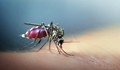 Спрейове за комари задушават децата