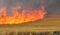 Пет екипа огнеборци потушават пожара в Катуница