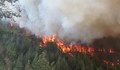 Над 2,5 милиона лева са щетите от пожара в Ардинско