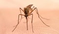Идва ново нашествие от комари