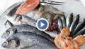 Каква риба ядем по Черноморието?