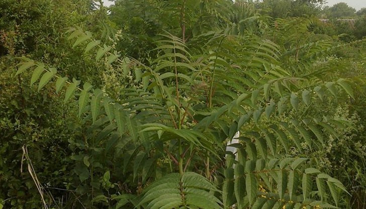 Винаги е било зле, но толкова зле - никога!