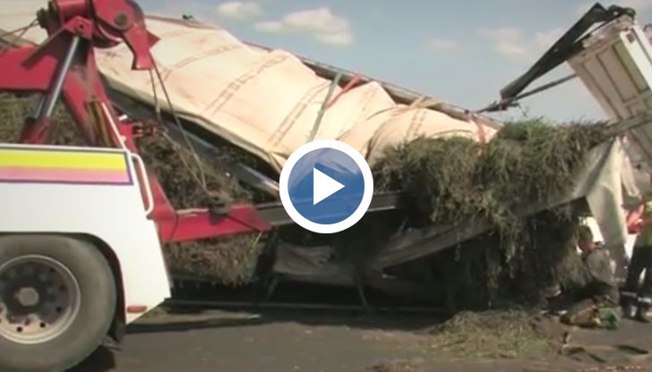 Вероятно шофьорът на камиона, превозващ лавандула, е заспал