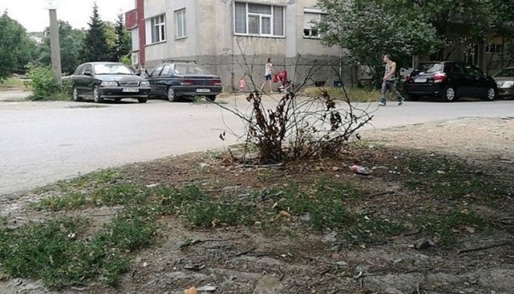 Според живеещите в блок "Ген. Иван Винаров" дълбочината на дупката е около 3 метра