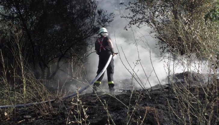 В гасителните действия участва и летателна техника на Министерството на отбраната В гасителните действия участва и летателна техника на Министерството на отбраната