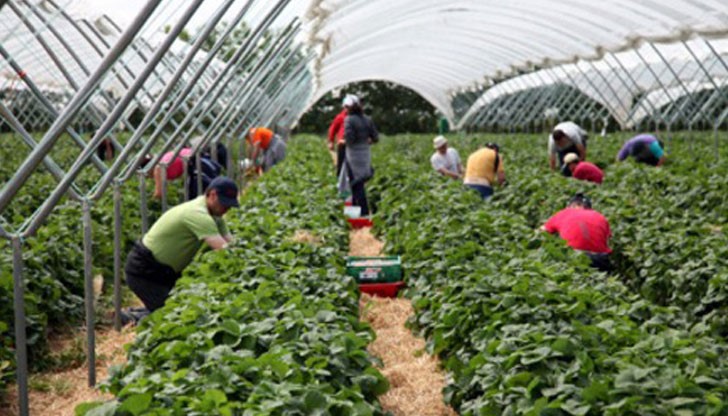 Нито работниците, нито работодателите са наясно! Нито работниците, нито работодателите са наясно!