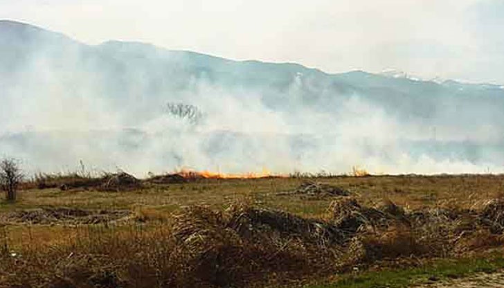 Поводът е последният случай от 17 юли, когато в обедните часове крайбрежните и централните части на град Русе бяха покрити от гъста пелена и неприятни, сладникави миризми Поводът е последният случай от 17 юли, когато в обедните часове крайбрежните и централните части на град Русе бяха покрити от гъста пелена и неприятни, сладникави миризми
