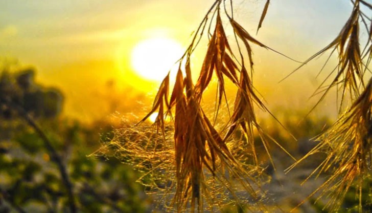 За тези, които работят, спорен ден! За тези, които работят, спорен ден!