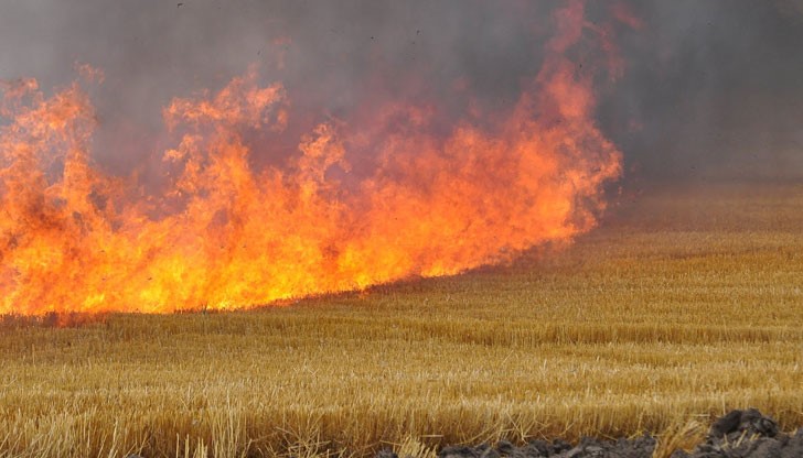 Пожарът е тръгнал от стърнище и постепенно обхванал депо за балирана слама наблизо / Снимката е илюстративна Пожарът е тръгнал от стърнище и постепенно обхванал депо за балирана слама наблизо / Снимката е илюстративна