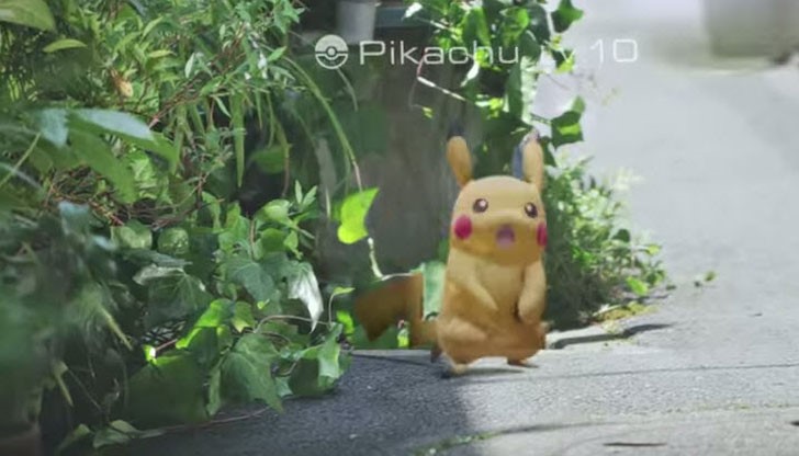 За една седмица, полицаите са издали над 50 фиша За една седмица, полицаите са издали над 50 фиша