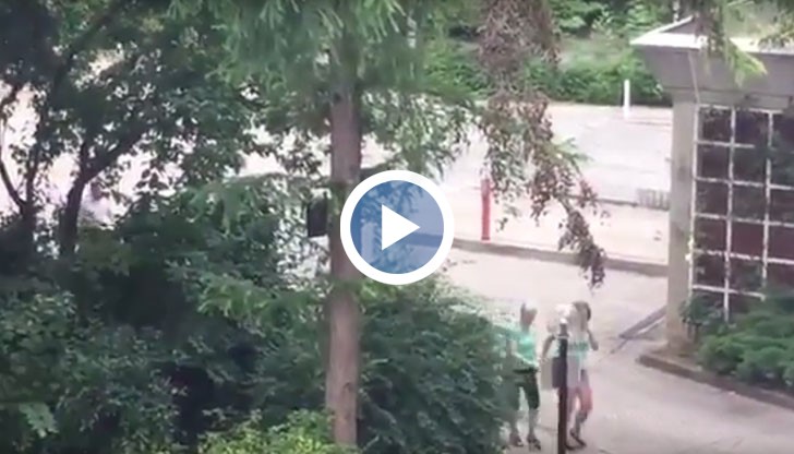 Според някои източници, стрелецът е бил тежко въоръжен