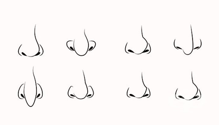 Остър и чип? Гърбав и месест? Остър и прав? Изглежда сякаш съществува форма за всяко едно лице