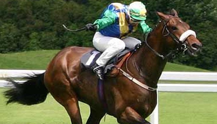 Крис Мийхан е професионален жокей с лош късмет Крис Мийхан е професионален жокей с лош късмет