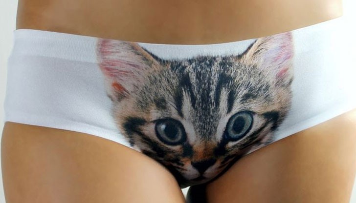 Лелка с шармантно провиснала блузка, озовала се на длъжността директор на Горското стопанство в Габрово, размаха пръст на свой служител, който си позволи...да си свърши работата!