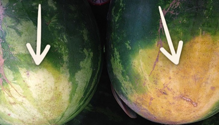 Събрали сме няколко признака, чрез които земеделските производители обикновено определят дали вътре в динята има  нещо сочно и вкусно