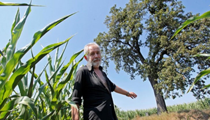 В село Шишенци вярват, че който доближи дървото го сполетява беда В село Шишенци вярват, че който доближи дървото го сполетява беда