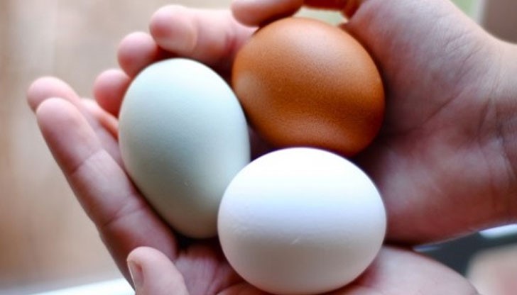 Нарушението на Закона за личните документи обаче му струва глоба в размер на 300 лева Нарушението на Закона за личните документи обаче му струва глоба в размер на 300 лева