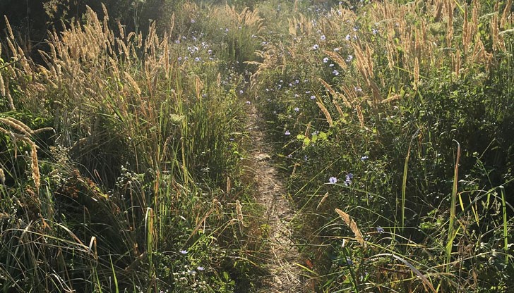 Това са пътищата до гаражите ни зад блок "Тича"