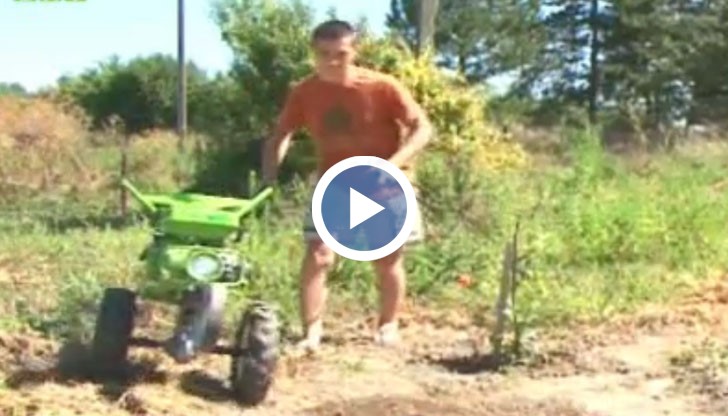 Митко е засадил 150 лешникови фиданки, като очаква по 8000 лева годишно печалба