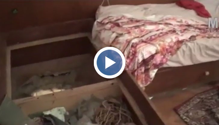 Полицаите открили в зазиданото мазе под апартамента 15 стръка канабис