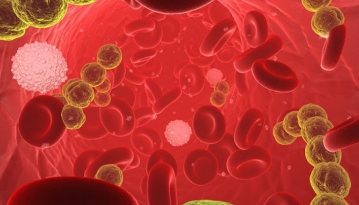 Изследванията на здравната инспекция показаха, че преносител на бактерията са две от детегледачките, които са приготвяли закуската