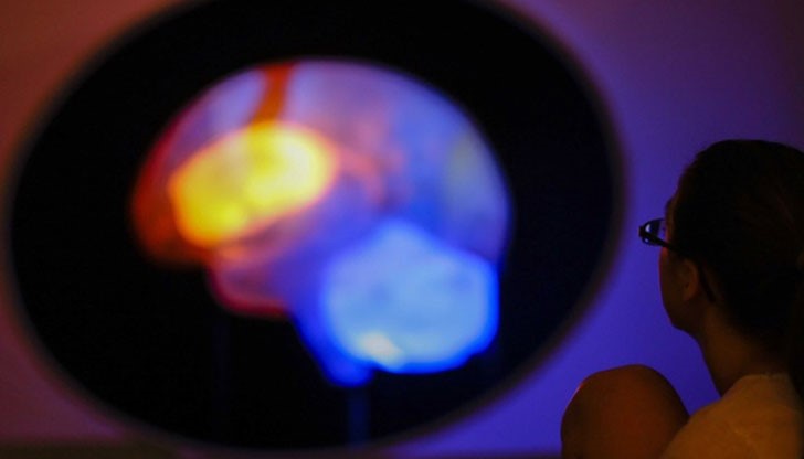 Новата карта също така предлага и информация за разбирането на аутизма, шизофренията и деменцията Новата карта също така предлага и информация за разбирането на аутизма, шизофренията и деменцията