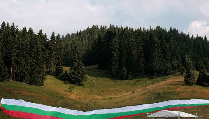 Пилешката пържола вървяла по 8 лева! Пилешката пържола вървяла по 8 лева!