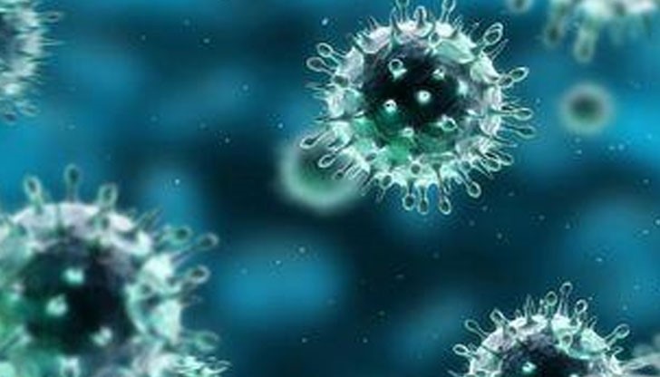 "Ентеро 71" започва с висока температура и отпадналост, но може да завърши със загуба на съзнание и парализа