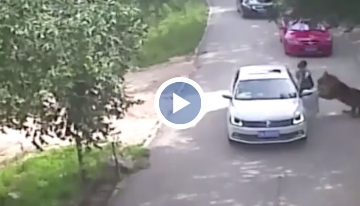 Тя излязла от автомобила си и така нарушила правилата за безопасност