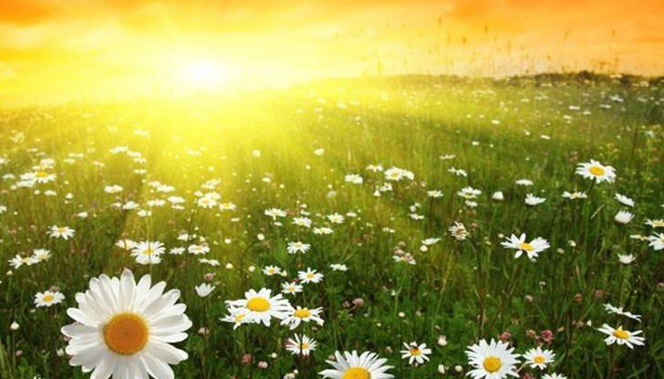 Максималните температури ще са предимно между 27° и 32°