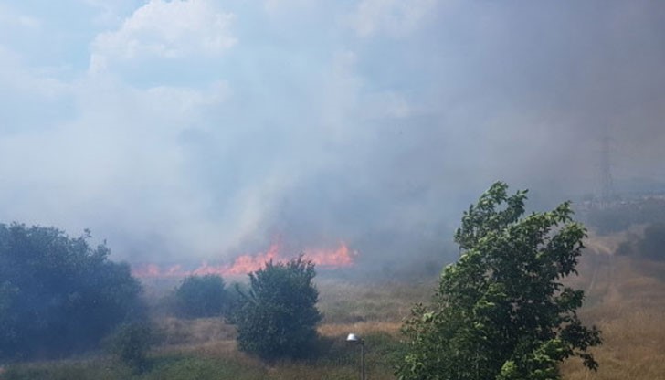 Пожар е обхванал 250 декара широколистна гора в района на село Малко Шарково, на 5 км от границата с Турция