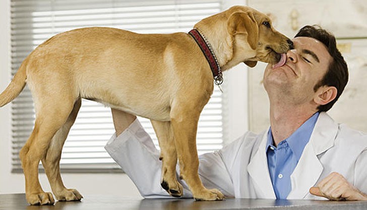 Инфекция, причинена от бактерията Capnocytophaga canimorsus намираща се в устата на кучетата, води до сепсис при хората