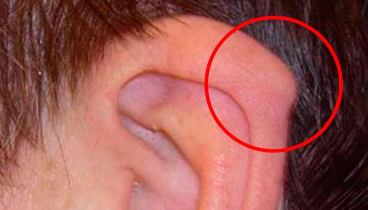 В древни времена нашите уши имали същата функция като ушите на кучетата или конете, така че те имали и подобна форма