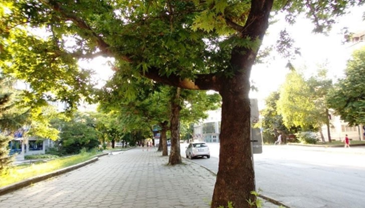 Той е разпоредил на Лиляна Павлова проектът за реконструкция да бъде преразгледан Той е разпоредил на Лиляна Павлова проектът за реконструкция да бъде преразгледан