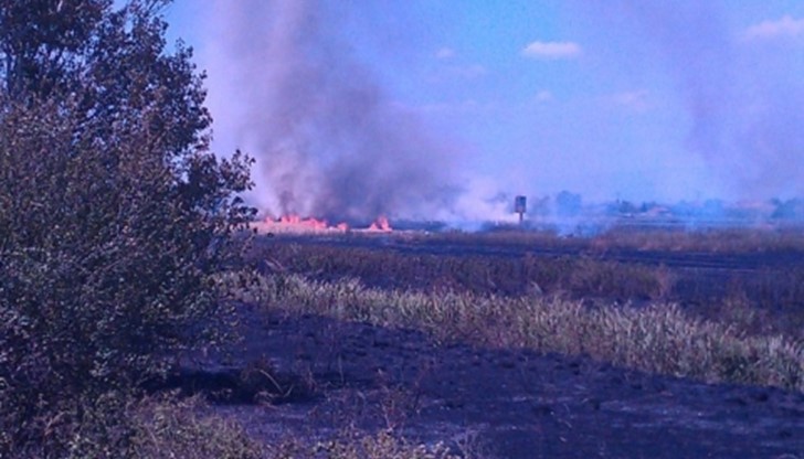 Огъня е прекъснал напълно жп линията Пловдив - Панагюрище