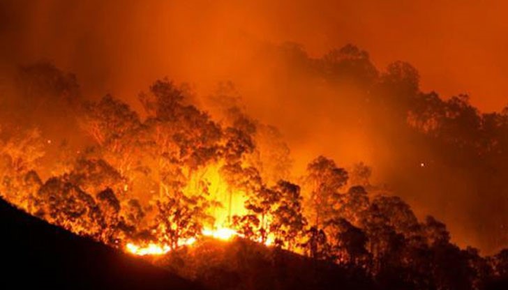 Остров Хиос е погълнат от горски пожар